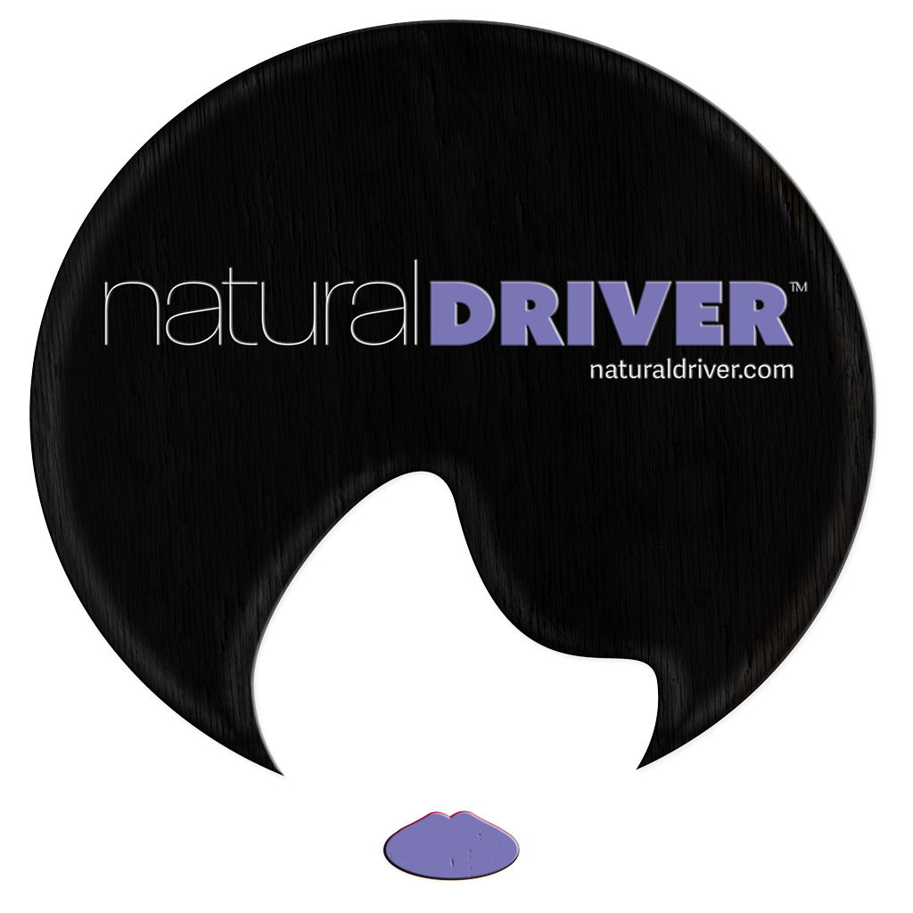 Natural Driver Icon Logo